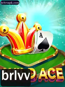 Explorando o Fascinante Mundo de WildAce: Regras e Introdução